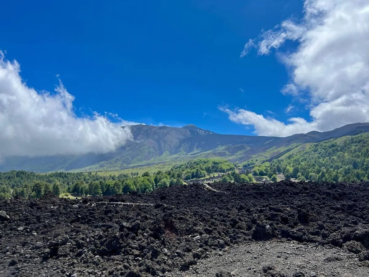Etna City Home Accogliente Nel Cuore Di Catania contacts